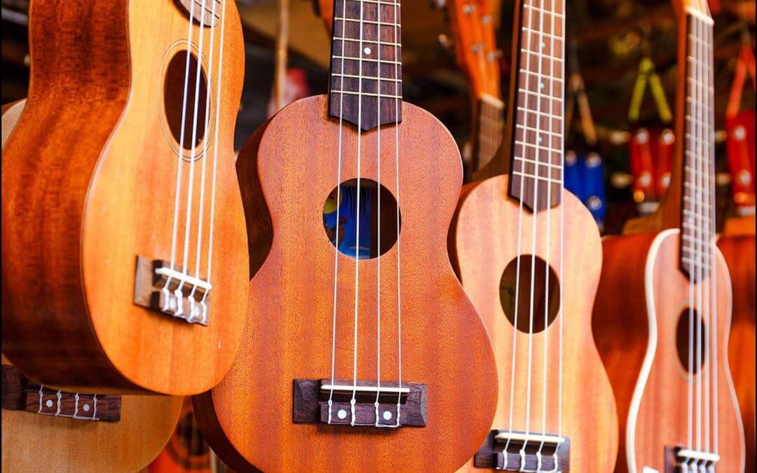 Ukulele Comparison for Music Class